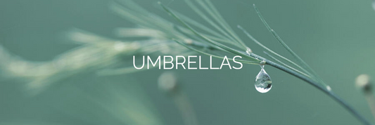 Umbrellas